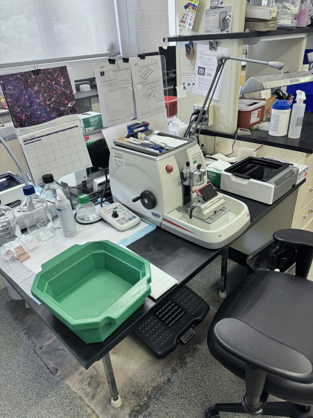 Leica HistoCore AUTOCUT and Leica RM2155 microtomes