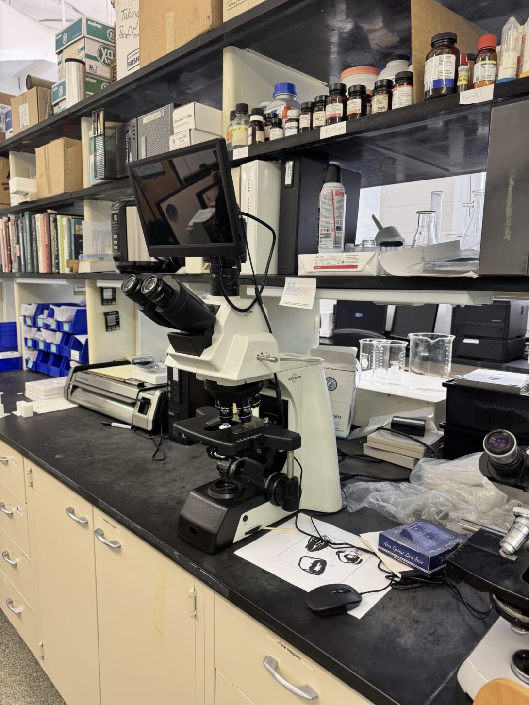ACCU-SCOPE EXC-500 Brightfield Microscope